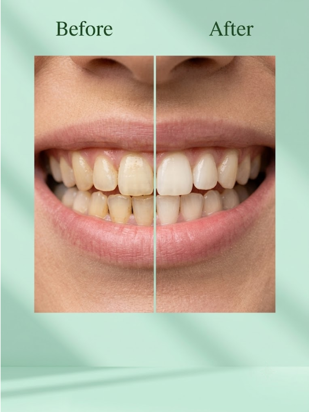 Petal Herbal Toothpaste